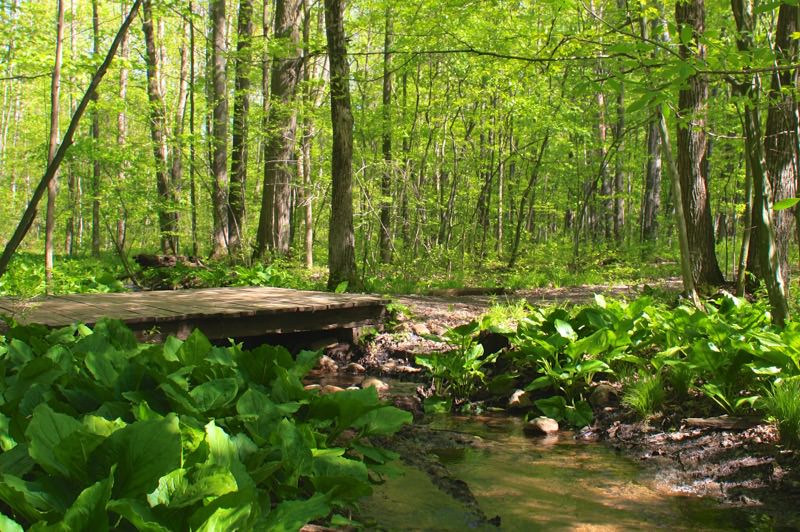 Luton Park Mountain Biking Trails